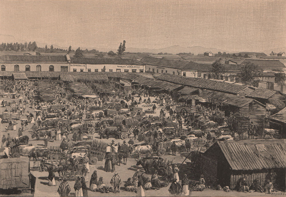 Chillan - Market-place. Chile 1885 old antique vintage print picture